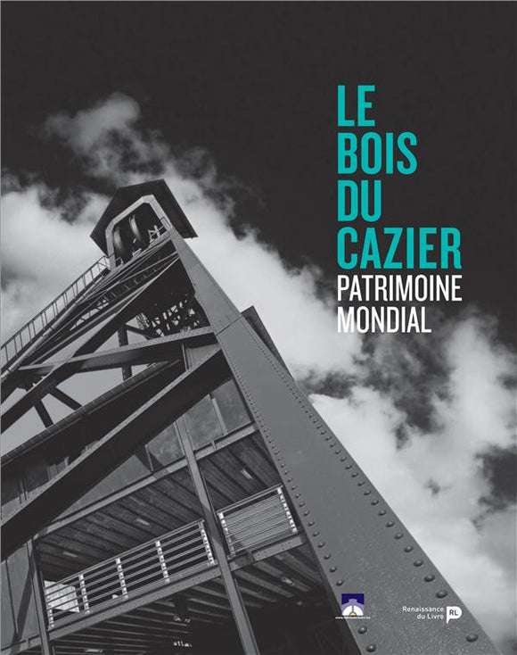 La catastrophe du Bois du Cazier : 8 août 1956