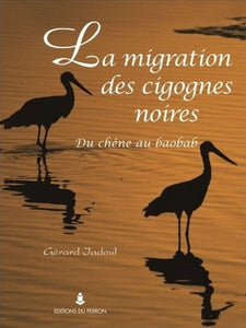 La migration des cigognes noires