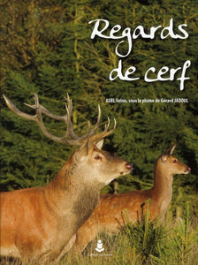 Regards de cerf